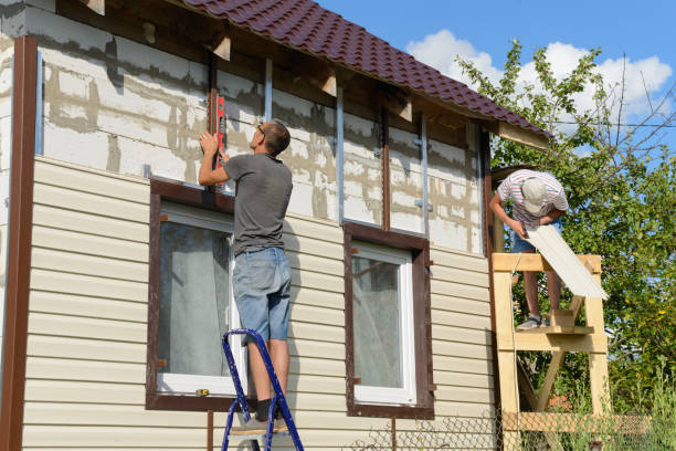 Best Aluminum Siding Installation  in Anza, CA